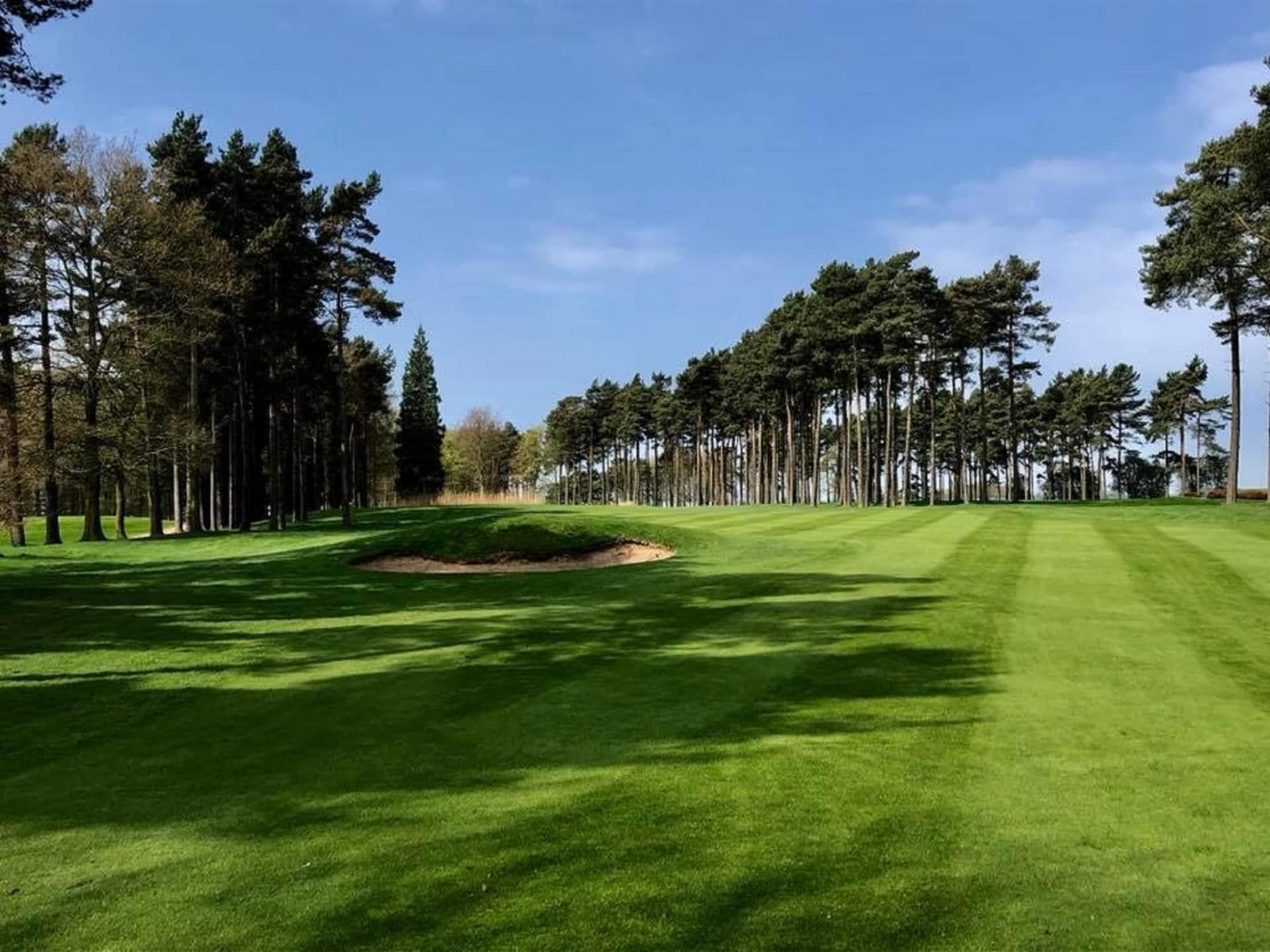 בריג Forest Pines Hotel, Spa & Golf Resort מראה חיצוני תמונה