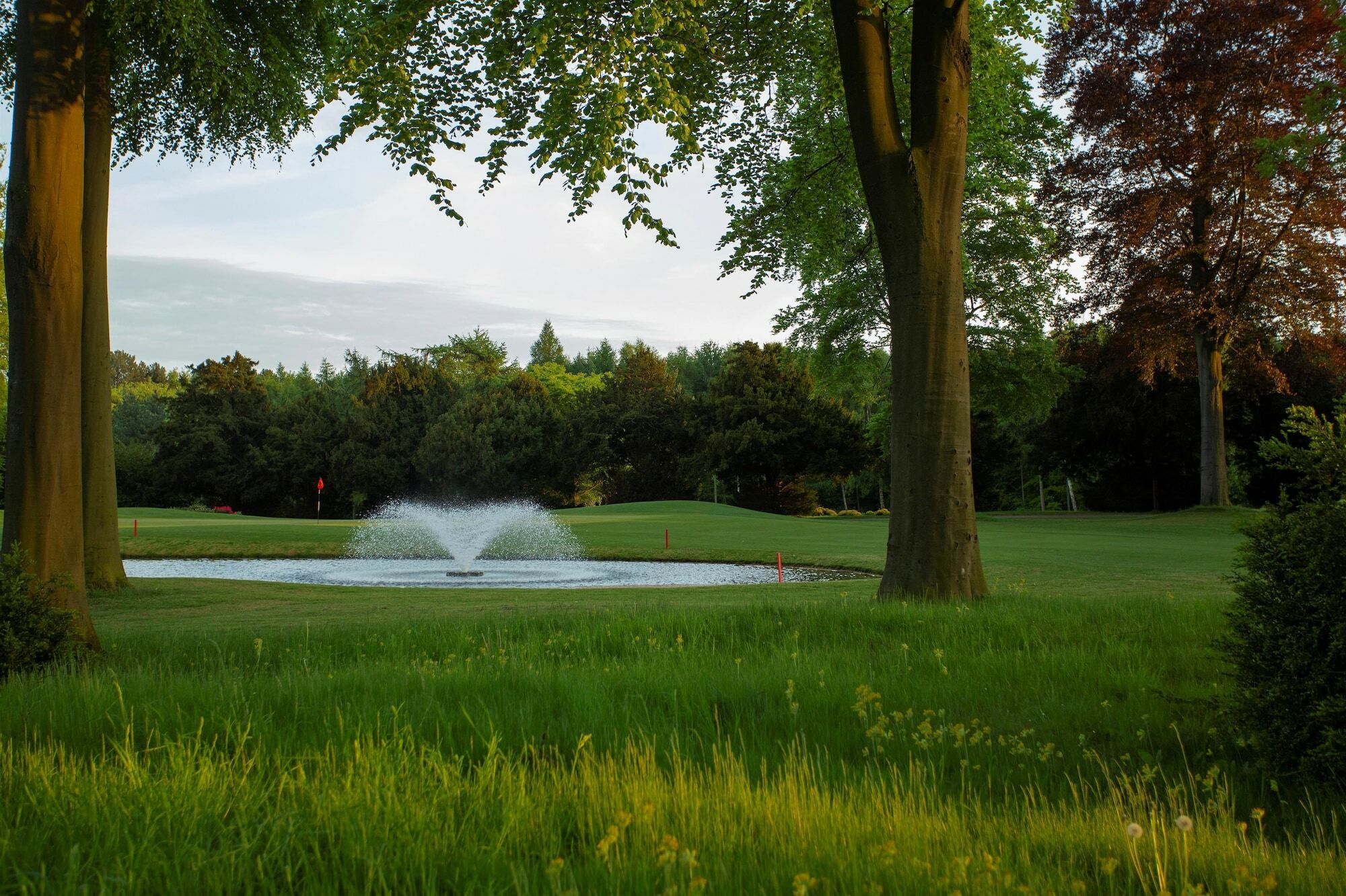 בריג Forest Pines Hotel, Spa & Golf Resort מראה חיצוני תמונה