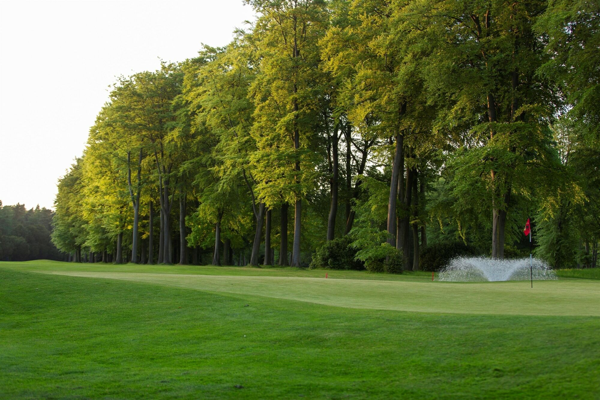 בריג Forest Pines Hotel, Spa & Golf Resort מראה חיצוני תמונה